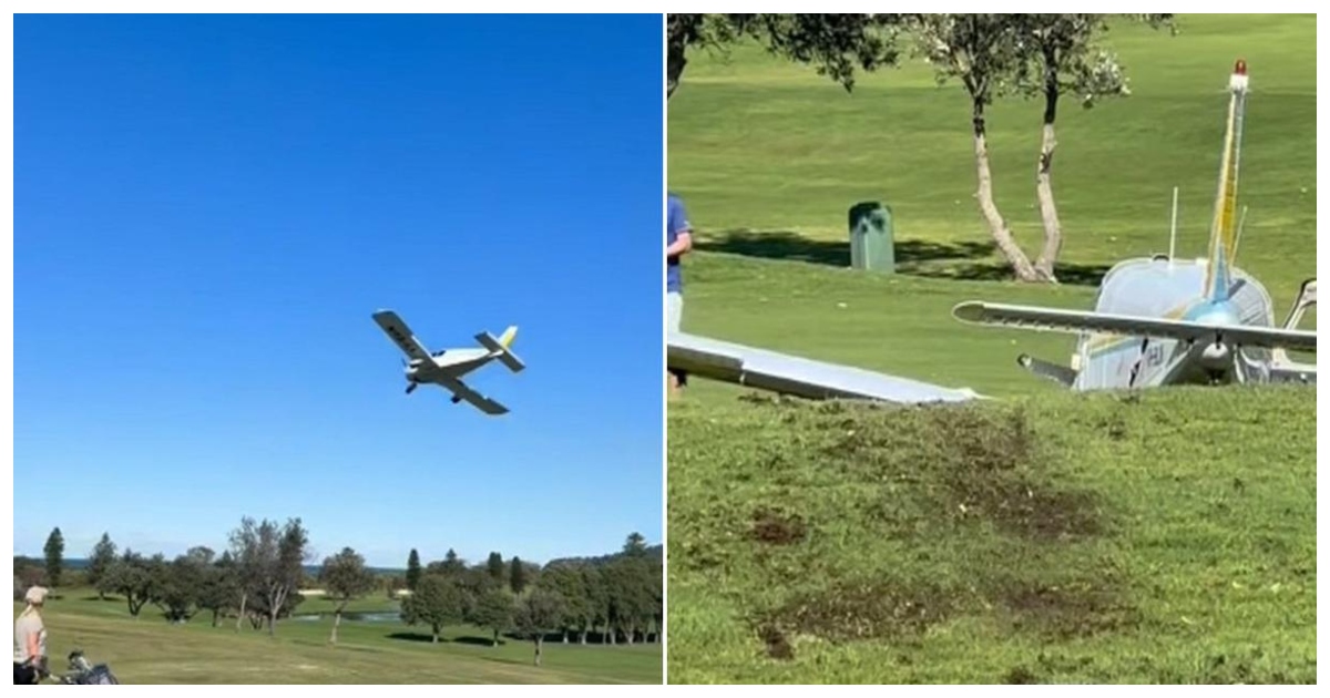 বিমানটি সবুজ ঘাসের ওপর দিয়ে পিছলে যায়। ছবি: সেভেন নিউজ